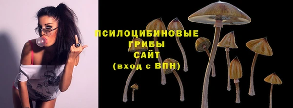 ALPHA PVP Бородино