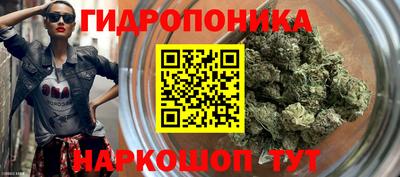 амф Шелехов