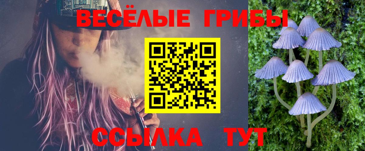 Галлюциногенные грибы прущие грибы  Вход с VPN  Мончегорск 