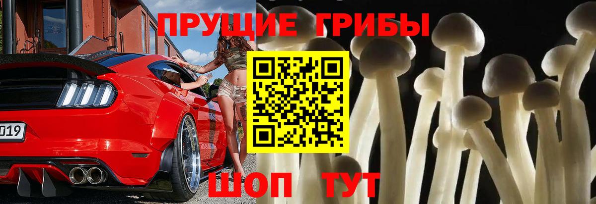 LSD-25 Мончегорск
