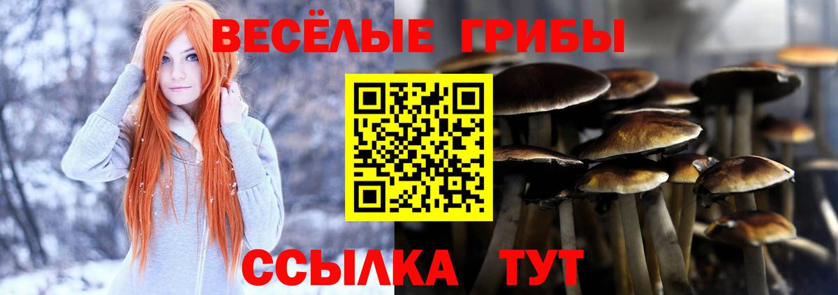 Псилоцибиновые грибы Magic Shrooms Мончегорск